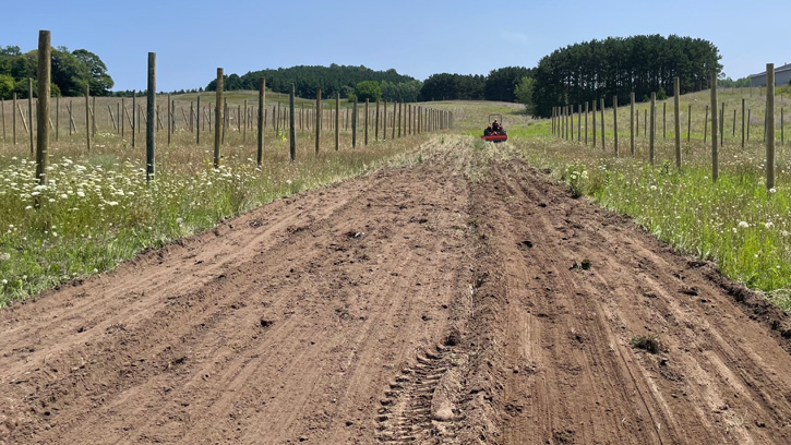 Heartwood Farms Orchard - Beginning 2