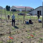 Orchard planting 2000 trees in 2024
